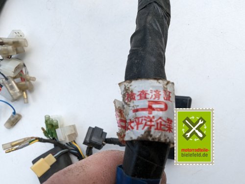 PXL_20240528_144340471.MP